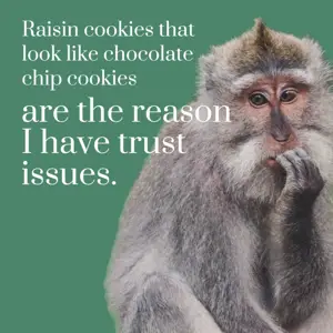 Funny monkey memes instagram post template