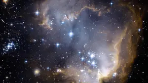 A Large Cluster Of Stars In The Sky Zoom Backgrounds Template