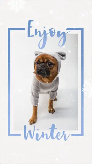 A photo of a dog winter story template