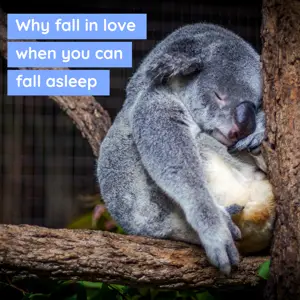 Funny animal memes instagram post template