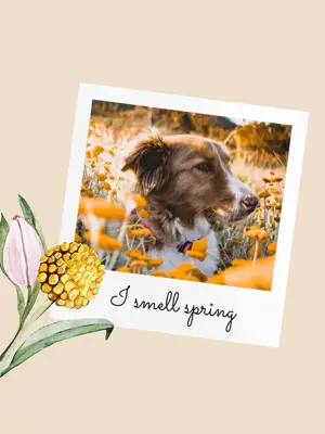 A photo of a Dog and flowers Hello Spring Template