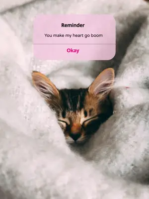 A Small Kitten Sleeping On Top Of A Blanket Notifications Template