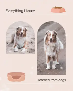A Collage Of Photos Of A Dog And A Bowl Of Food Pets Template