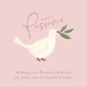 pink background and Pigeon illustration Passover holiday greeting instagram post template