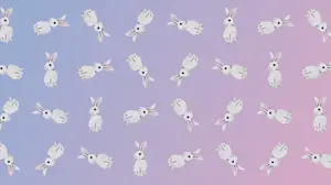 A Group Of White Rabbits Sitting Next To Each Other Zoom Backgrounds Template