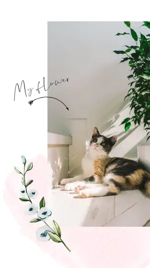A Cat Sitting On A Ledge Next To A Potted Plant Spring Story Template