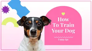 A Dog With The Title How To Train Your Dog Magic Youtube Thumbnail Template