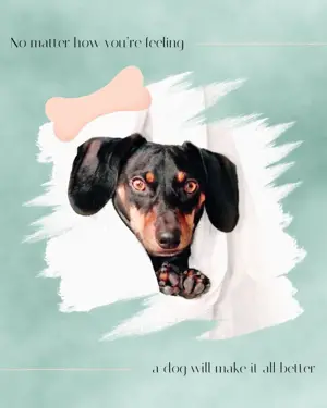 A Black And Brown Dog With A Bone In It'S Mouth Pets Template
