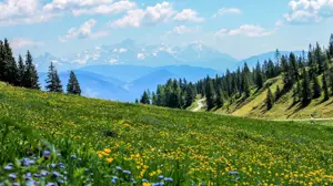 A Field Of Wildflowers With Mountains In The Background Zoom Backgrounds Template