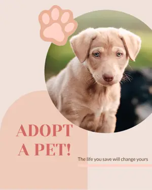 A Picture Of A Dog With A Paw On It Pets Template