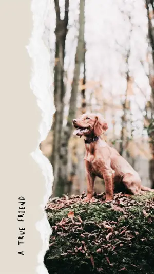 A Brown Dog Sitting On Top Of A Lush Green Forest Template