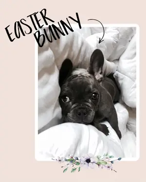 Cute puppy happy Easter greeting card template