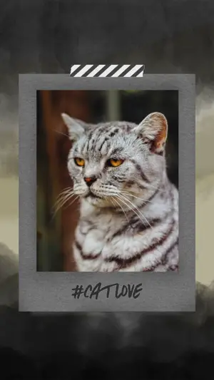 A Picture Of A Cat With The Caption Cat Love Template