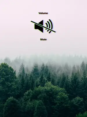 A Forest Filled With Lots Of Green Trees Notifications Template