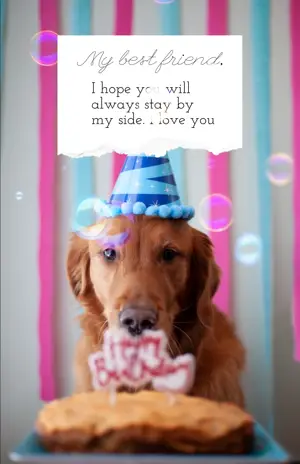 cute ripped paper minimalistic birthday story template 