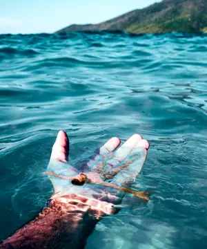 A Hand Holding Something In The Water With A Mountain In The Background Collage Art Template