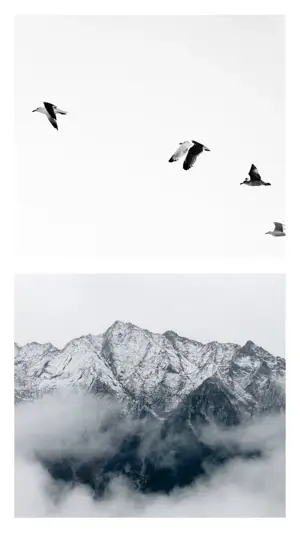 A Group Of Birds Flying Over A Snow Covered Mountain Simple Story Template
