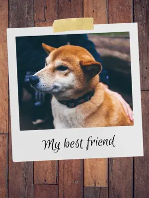 My best friend instagram post template