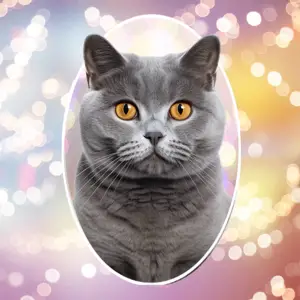 cat magic portrait template, light colours , ellipse cat cute minimalistic 