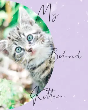 A Picture Of A Kitten With A Caption That Says Pets Template