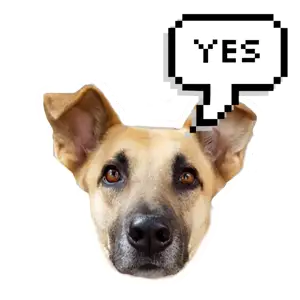 Bim The Dog With A Speech Bubble Syaing Yes Whatsapp Sticker Template