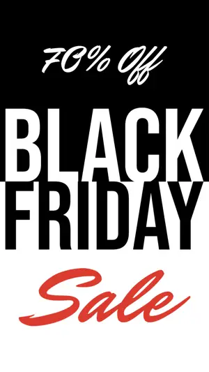 Black Friday Sale Brochure Template