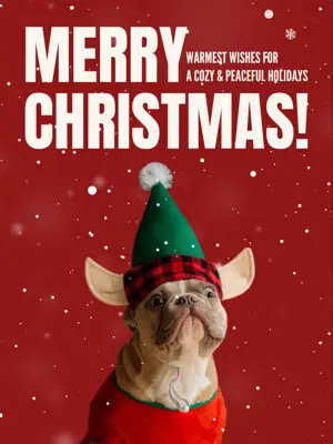 Red modern Christmas greeting card background Instagram magic post template