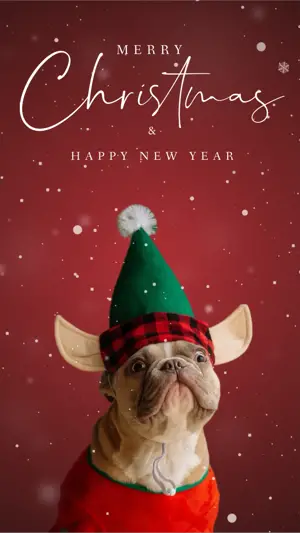 red dog Christmas holiday greetings Instagram story magic template