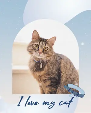 A Picture Of A Cat With The Caption I Love My Cat Pets Template