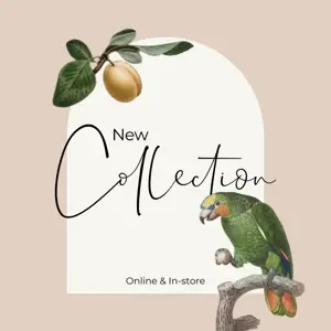 Elegant botanical illustrations Instagram post template 