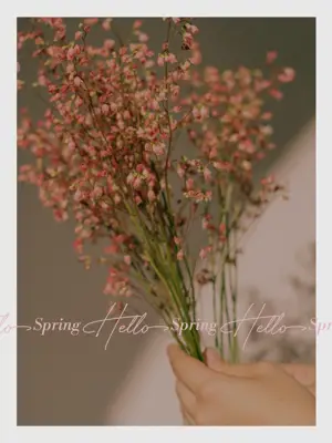 A Person Holding A Bunch Of Flowers In Their Hand Hello Spring Template