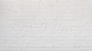 White Brick Wall Zoom Background Template