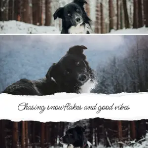 White Minimalist Aestheticwinter Photo collage 