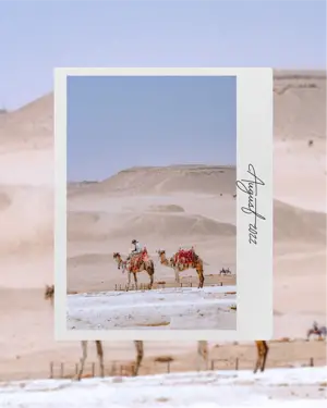 Aesthetic Polaroid Instagram Post