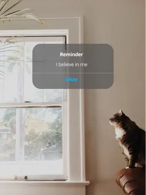 A Cat Sitting On A Window Sill Looking Out The Window Notifications Template