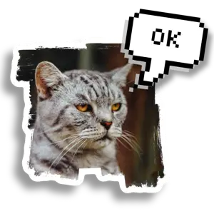 A Picture Of A Cat With A Speech Bubble Whatsapp Sticker Template