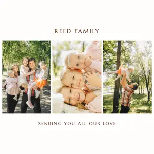 white minimalistic three Photo Collage family album template 