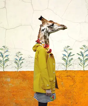 A Giraffe Sticking Its Head Over A Woman'S Head Template