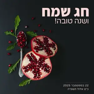 Pomegranate photo shana tova Hebrew greetings instagram post template 