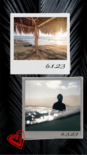 A Picture Of A Person In The Water Under A Palm Tree Template