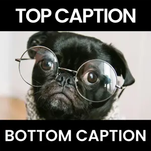 memes with generic text top and bottom text on black background 