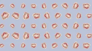 An Image Of A Pattern Of Flowers On A Blue Background Zoom Backgrounds Template