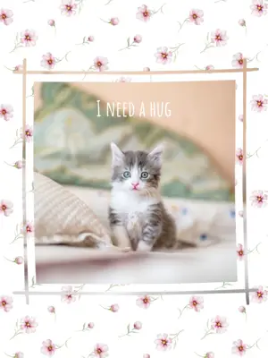 A Picture Of A Kitten Sitting On A Bed Hello Spring Template