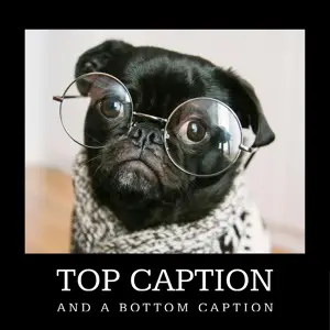 memes with generic text white text on black frame top caption and bottom caption 