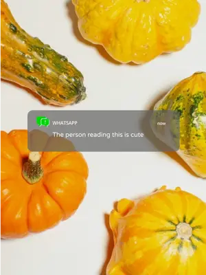 A Group Of Pumpkins Sitting Next To Each Other Notifications Template