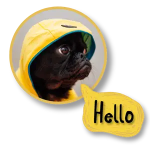 A Small Dog Wearing A Yellow Hat Whatsapp Sticker Template