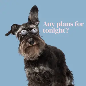 Funny dog memes instagram post template