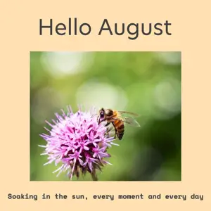 Hello August soaking in the sun