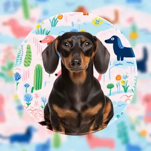 cute illustration background dog profile magic pic 
