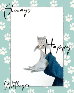 A Person Holding A Cat In Their Arms Pets Template